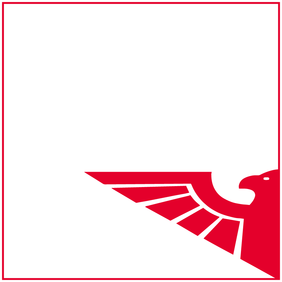 Eagle-Engineering_Logo-Favicon