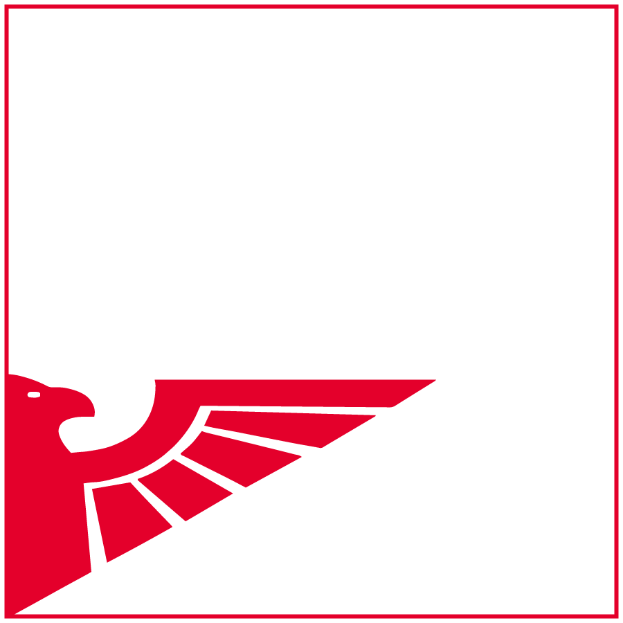 Eagle-Engineering_Logo-Favicon_Right